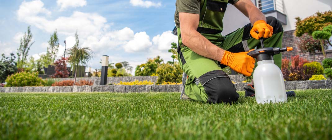 Lawn Care Services in Ankeny, IA - Excel Lawns & Landscape