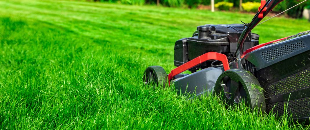 Lawn Care Services in Norwalk, IA