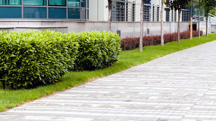 Commercial Landscaping Bed Maintenance by Excel Lawn & Landscape