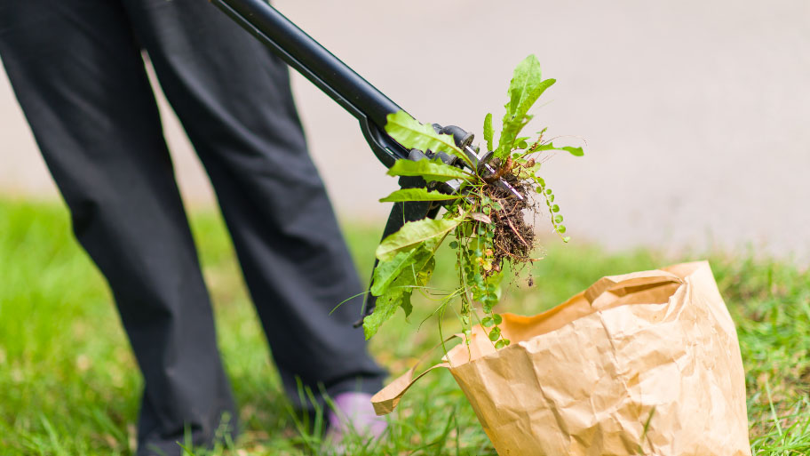 Commercial Landscaping Bed Maintenance by Excel Lawn & Landscape